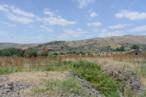 View over the River Simeto valley, from the Favare spring